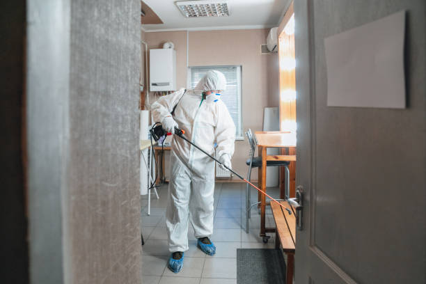 Best Mold Documentation for Insurance Claims  in Brookville, IN