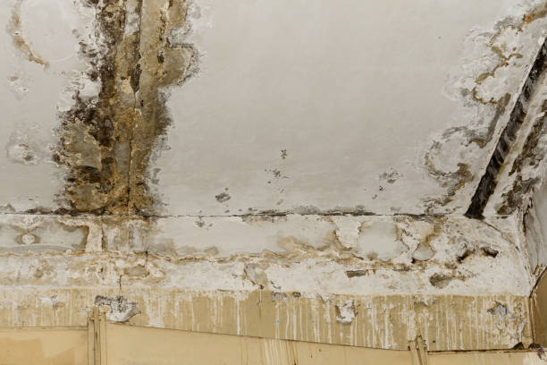 Best Indoor Air Quality Assessment  in Brookville, IN