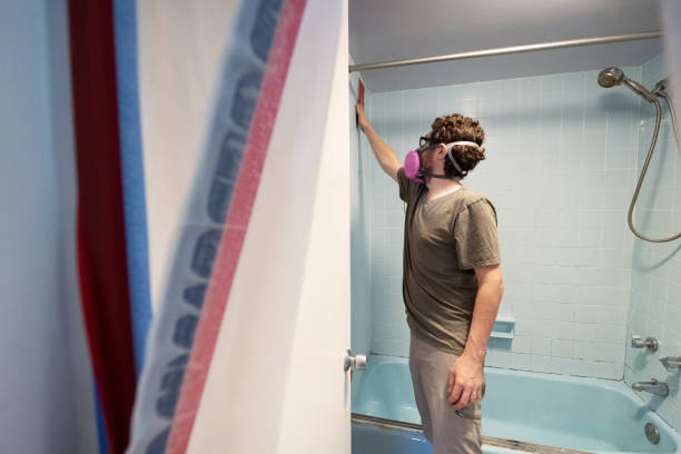 Best HVAC Mold Inspection and Cleaning  in Brookville, IN