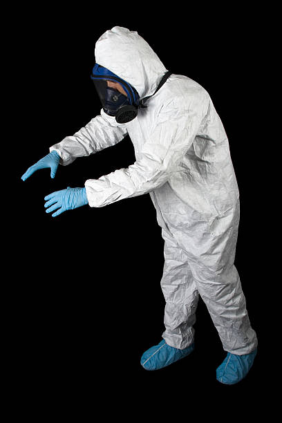 Best Black Mold Removal  in Brookville, IN